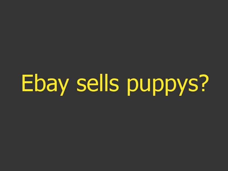 Ebay sells puppys?
